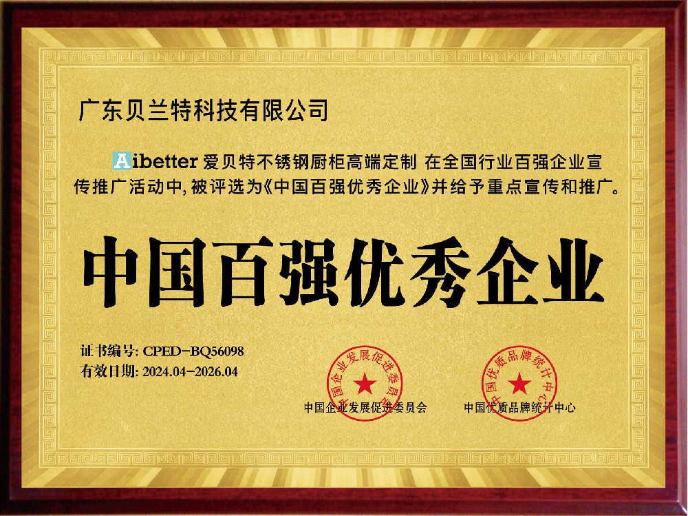 中国百强优秀企业